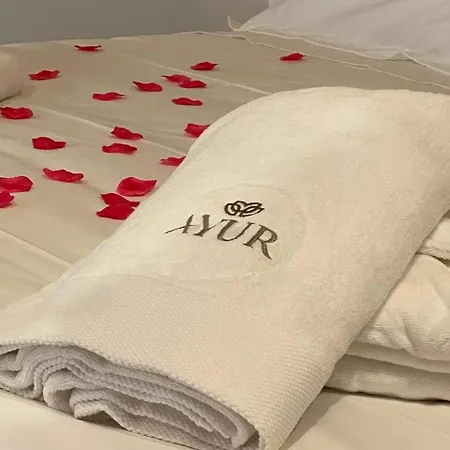 Ayur Emotional Semesterbostad